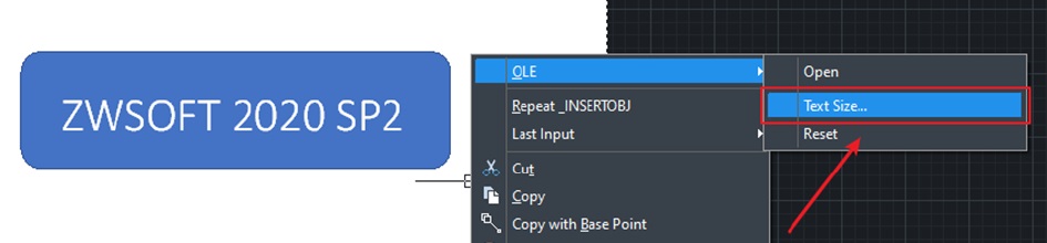 2020/ZWCAD 2020 SP2 - Invoke the OLE Text Size dialog box